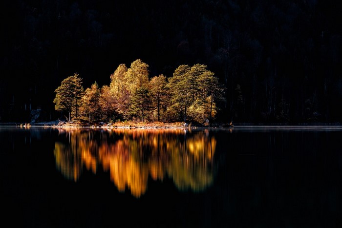 Island trees reflecting in dark water at dawn or dusk