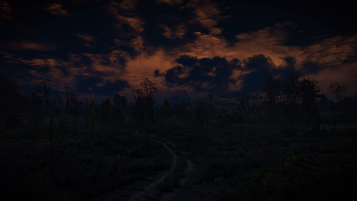 The Witcher 3 Wild Hunt: Dusk over a dark forest