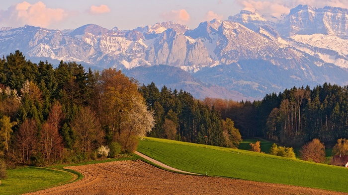 Snow-capped mountains behind a forest and farmland