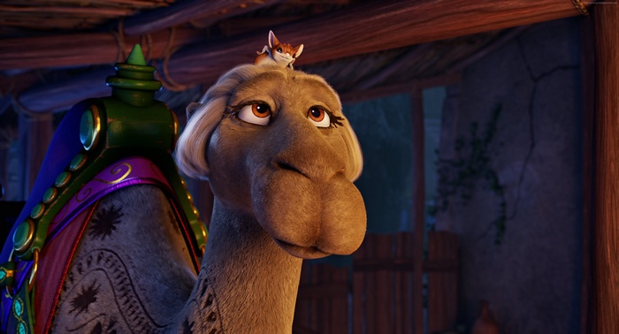 The Star camel 4K