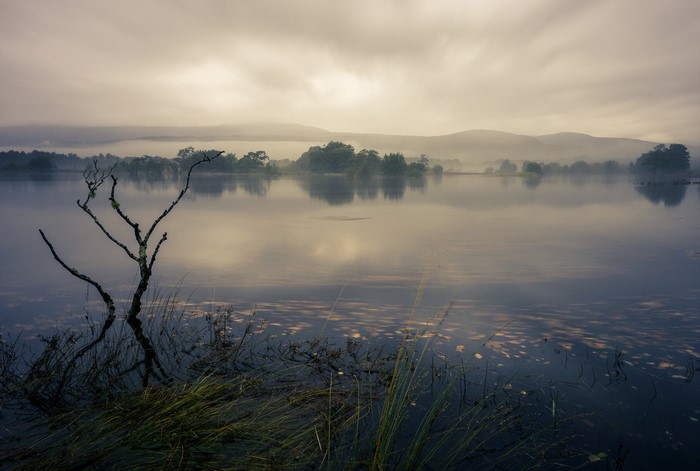 Misty lake with bare tree and hills at sunrise