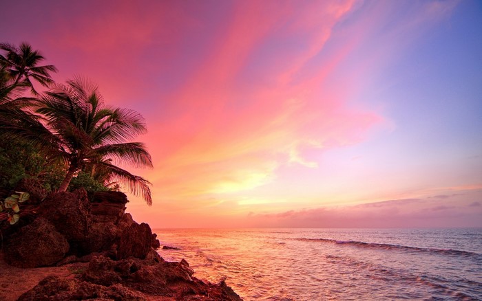 Tropical sunset over the ocean with palm trees and rocks