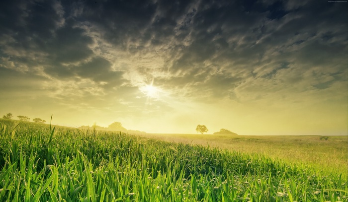 4K field with grass and sky