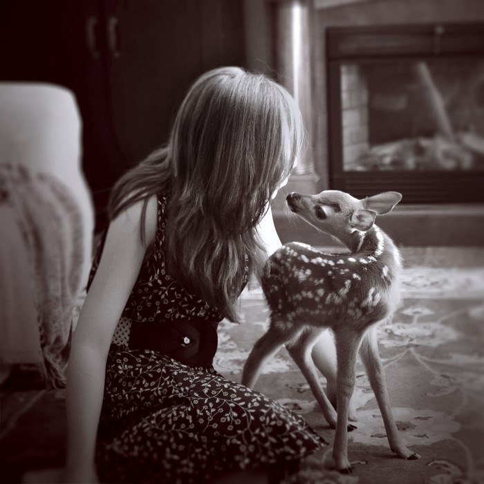 Girl interacting with a fawn indoors
