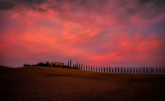 Tuscan Villa and Cypress Trees at Sunset