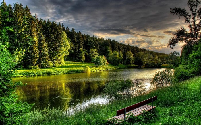Forest lake with a wooden bench at sunset