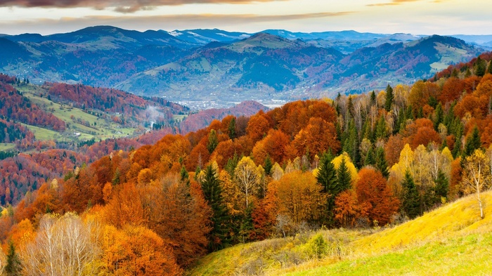 Autumn mountain landscape with colorful trees