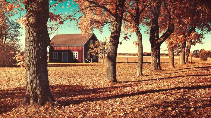 Red house and trees in autumn