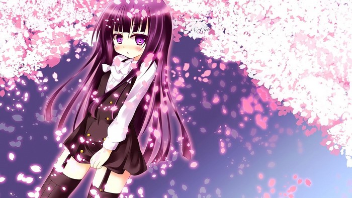 Anime girl with long purple hair and cherry blossoms