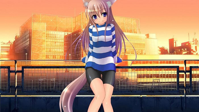 Anime girl with cat ears and long hair