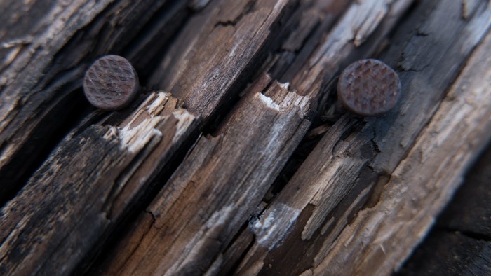 Close up of two rusty nails in weathered wood