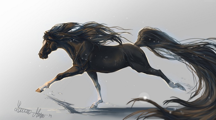 Black horse galloping with flowing mane and tail