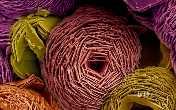 Microscopic view of mineral crystals