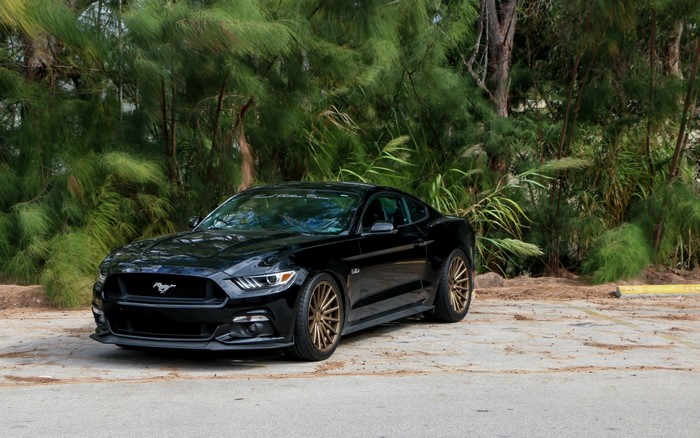 Black Ford Mustang GT parked outdoors