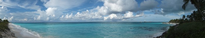 Panoramic view of a tropical beach with turquoise water and palm trees