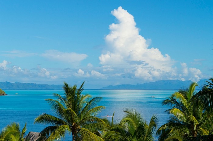 Tropical Caribbean Bay with Palm Trees and Blue Lagoon