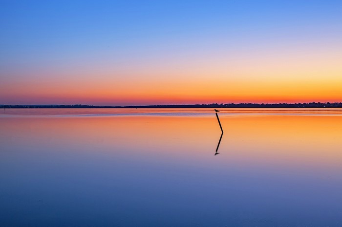 Calm lake at sunset with a bird on a post