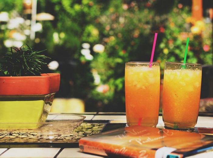 Two cocktails with straws and a potted plant