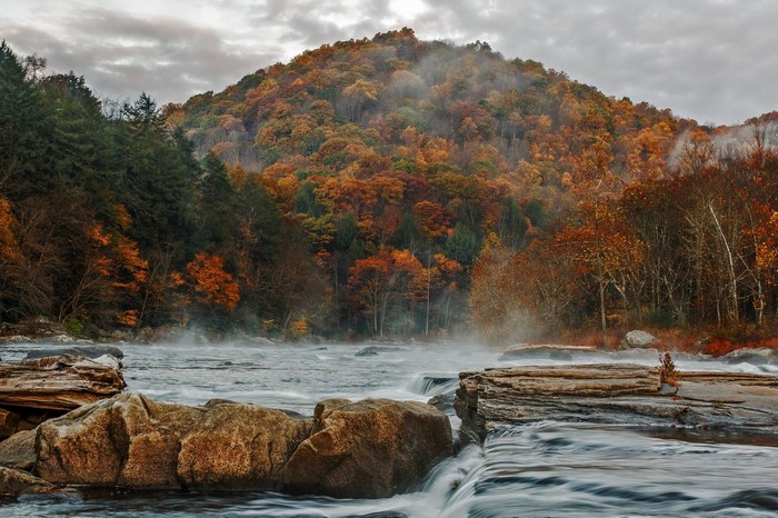 River flowing through autumn forest with mist