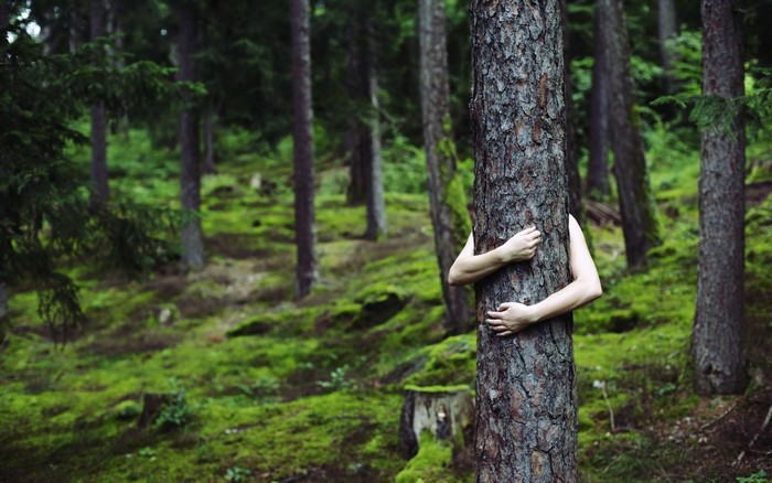 Person hugging a tree in a forest