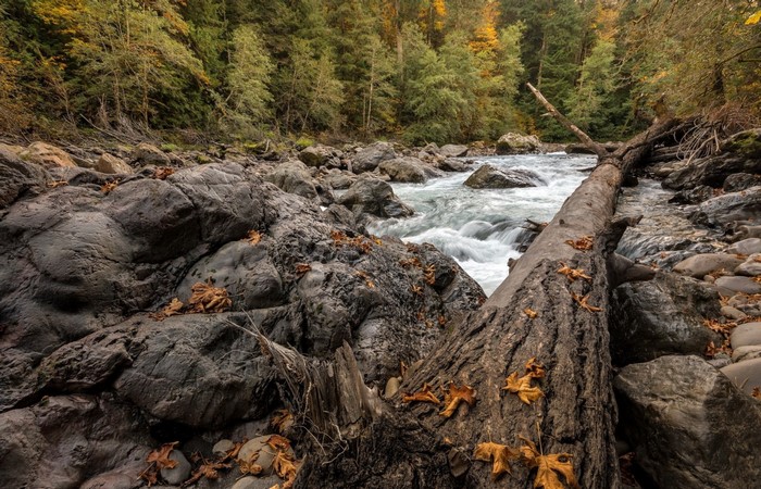 Autumn river flowing through a rocky forest landscape