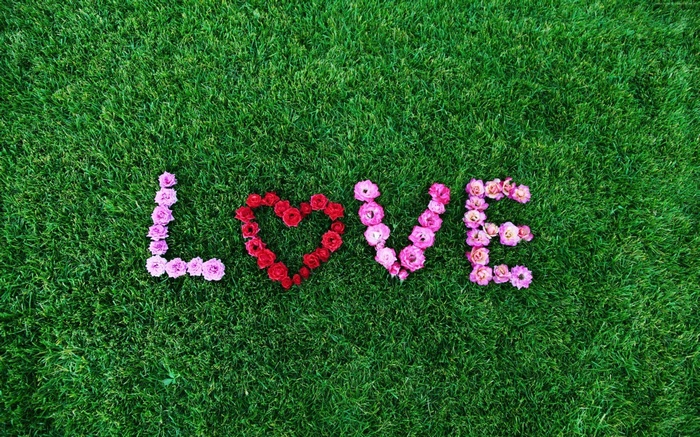 The word LOVE spelled with flowers on grass, 4K