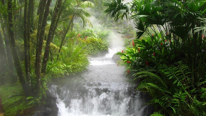 Tropical rainforest with a steaming waterfall and lush vegetation