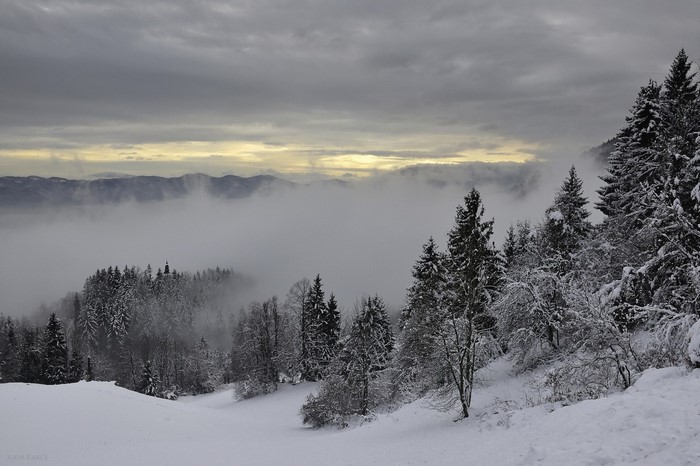 Snowy mountain landscape with fog and trees