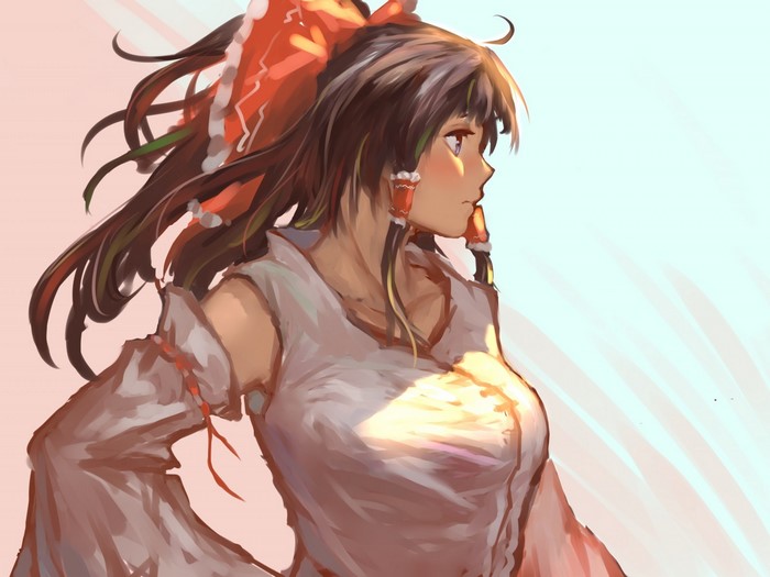 Hakurei Reimu from Touhou Project
