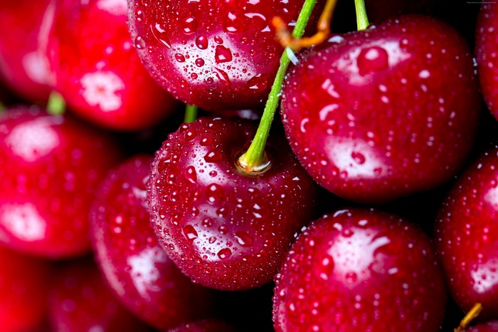 Close-up of fresh cherries with water droplets, 4K