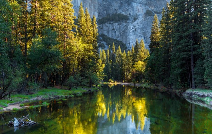 Forest and River Reflection in Yosemite