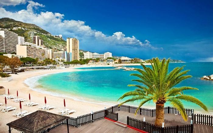 Beachfront resort with palm trees and city buildings