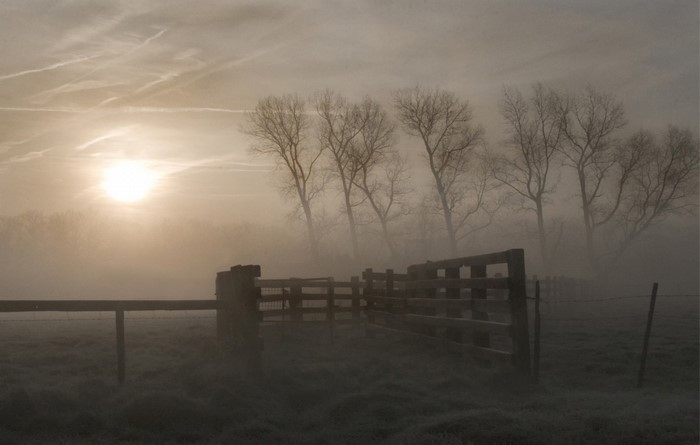 Misty sunrise over a rural landscape with a wooden gate