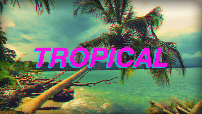 Tropical beach with palm trees and ocean