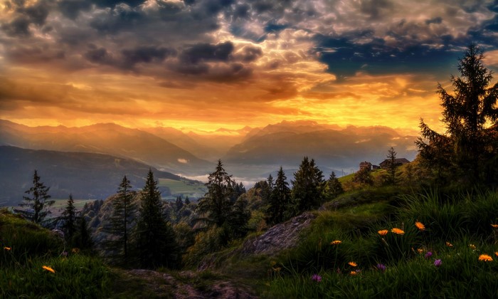 sunlight trees landscape sunset flowers hill nature sky clouds