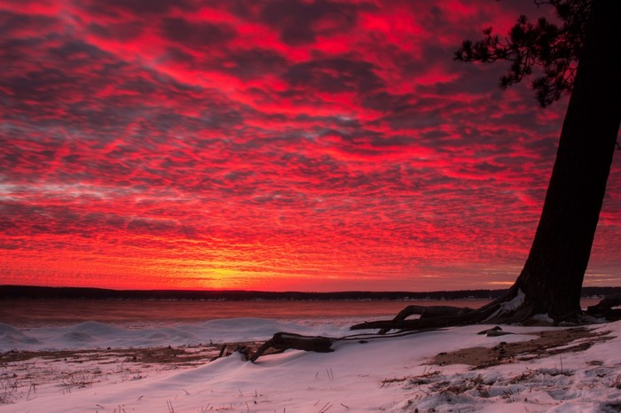 Fiery sunset over a snowy beach with a tree