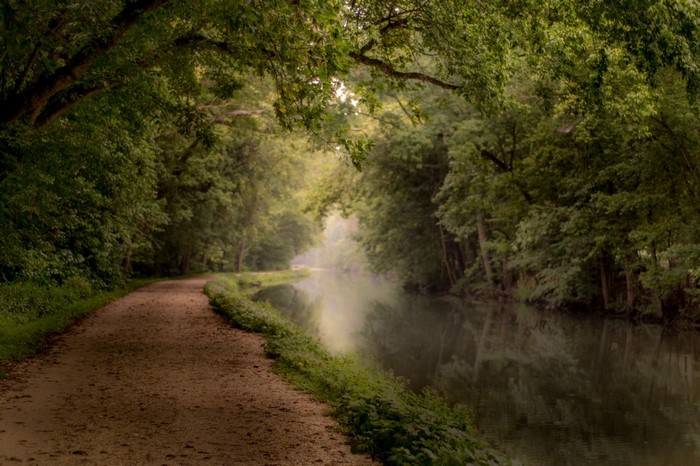 Serene Forest Path Along Calm River