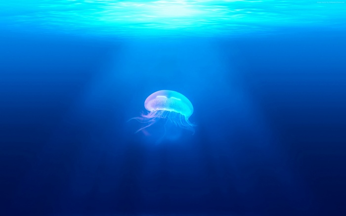 Jellyfish underwater with light rays
