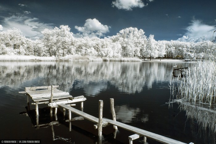 Infrared lake with wooden pier and white trees