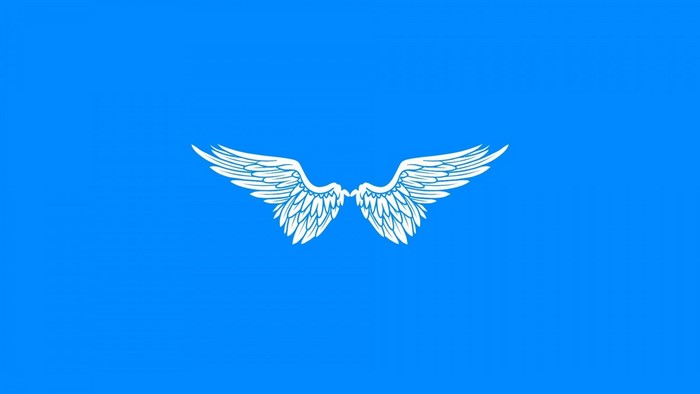 White wings illustration on a blue background