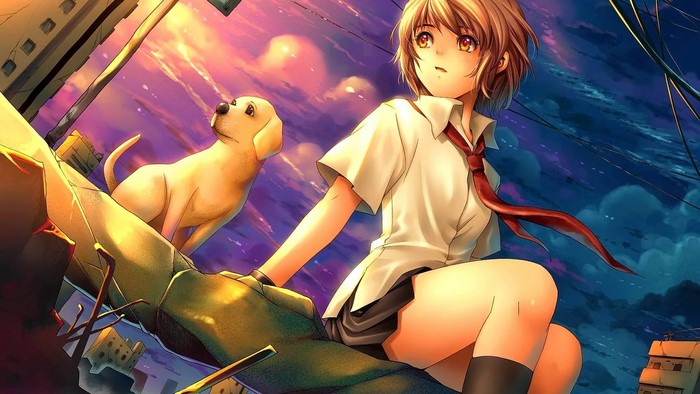 Anime girl and dog on debris at sunset