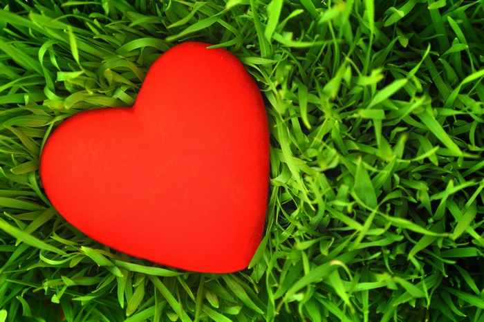 Red heart on green grass