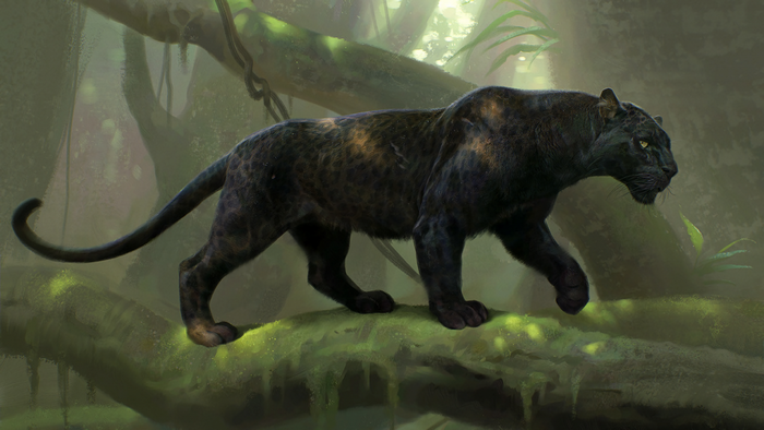 Majestic Black Panther in Dense Jungle