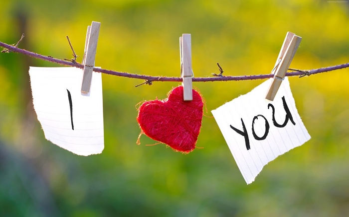 I Love You heart on a branch 4K