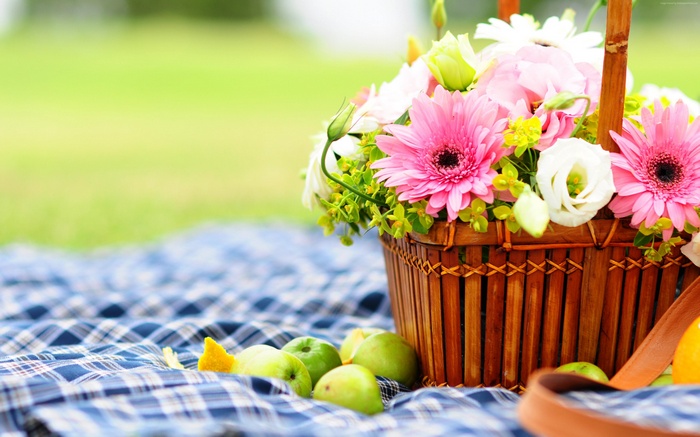 Gerbera flowers in a basket with apples on a picnic blanket