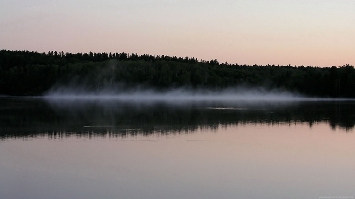 Misty lake at sunrise with forest reflection