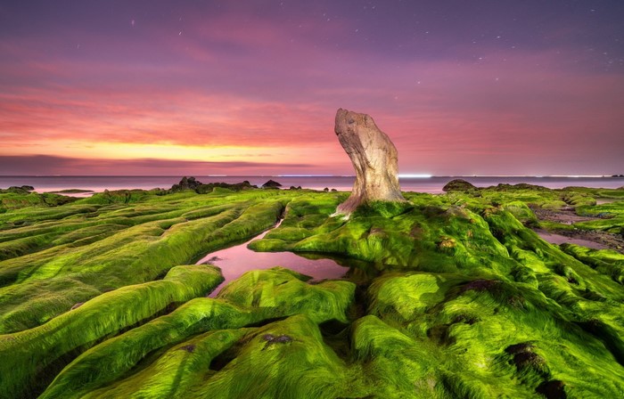 Mossy coastal rocks at sunset with ocean horizon