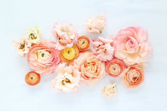 Assortment of pink and orange ranunculus flowers