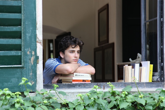 Timothee Chalamet from Call Me by Your Name
