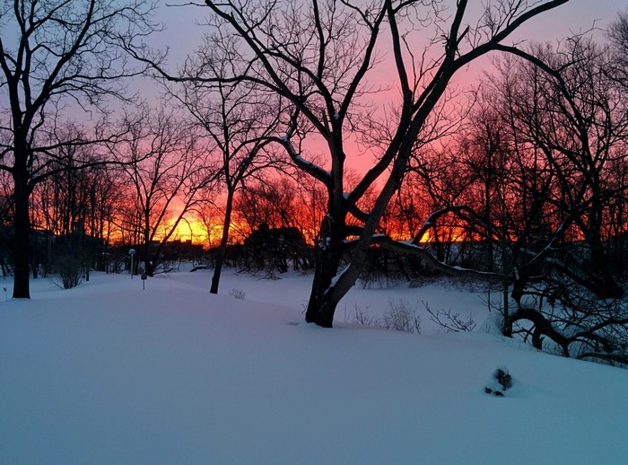 Snowy landscape with bare trees during a vibrant sunset